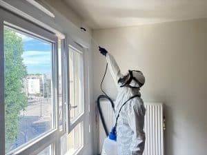 Faut-il quitter son logement pendant une désinsectisation ? Ce qu’il faut savoir