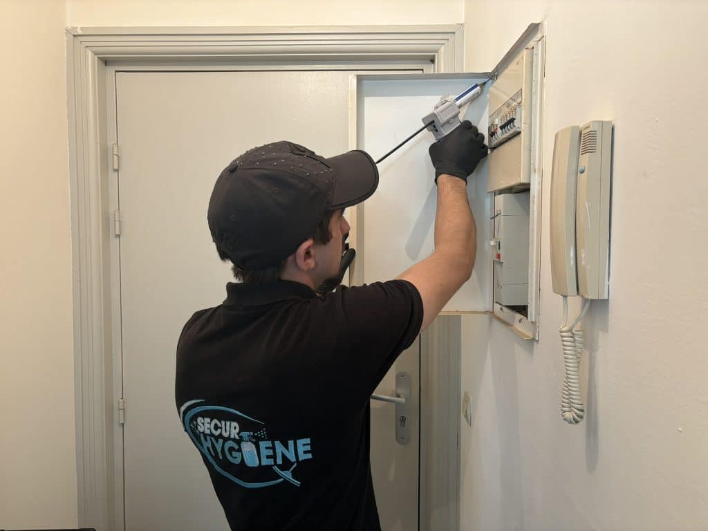 entreprise-desinsectisation-montpellier